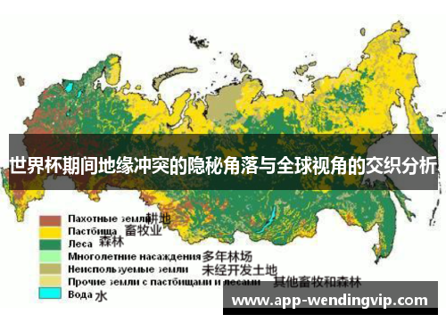 世界杯期间地缘冲突的隐秘角落与全球视角的交织分析