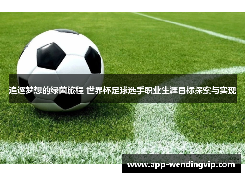 追逐梦想的绿茵旅程 世界杯足球选手职业生涯目标探索与实现