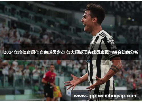 2024年度体育最佳自由球员盘点 各大领域顶尖球员表现与转会动向分析