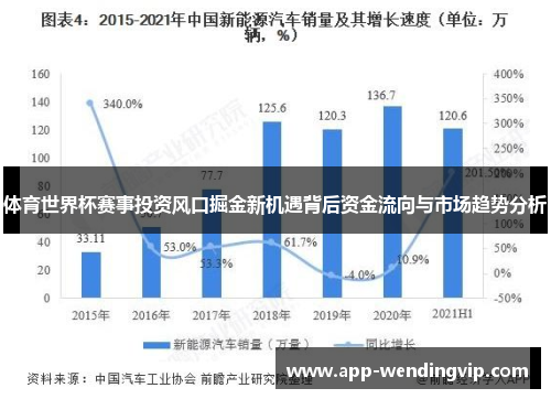 体育世界杯赛事投资风口掘金新机遇背后资金流向与市场趋势分析