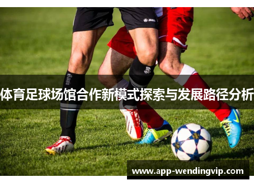 体育足球场馆合作新模式探索与发展路径分析