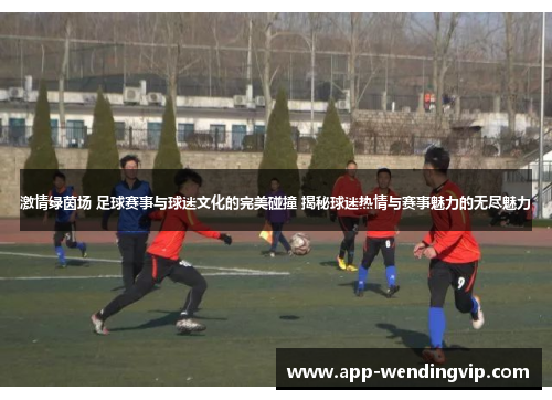 激情绿茵场 足球赛事与球迷文化的完美碰撞 揭秘球迷热情与赛事魅力的无尽魅力