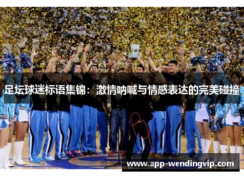 足坛球迷标语集锦：激情呐喊与情感表达的完美碰撞