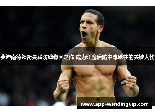费迪南德领衔曼联防线稳固之作 成为红魔后防中流砥柱的关键人物