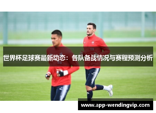 世界杯足球赛最新动态:各队备战情况与赛程预测分析 世界杯足球赛最新动态:各队备战情况与赛程预测分析