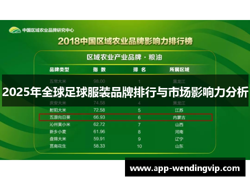 2025年全球足球服装品牌排行与市场影响力分析
