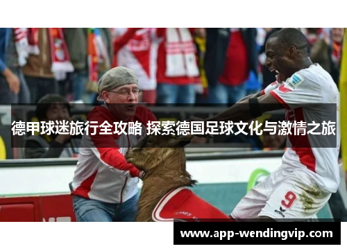 德甲球迷旅行全攻略 探索德国足球文化与激情之旅 德甲球迷旅行全攻略 探索德国足球文化与激情之旅
