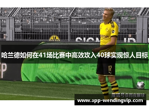 哈兰德如何在41场比赛中高效攻入40球实现惊人目标