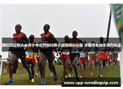 国际田径联合会青少年世界锦标赛小组赛精彩纷呈 各国青年选手激烈角逐