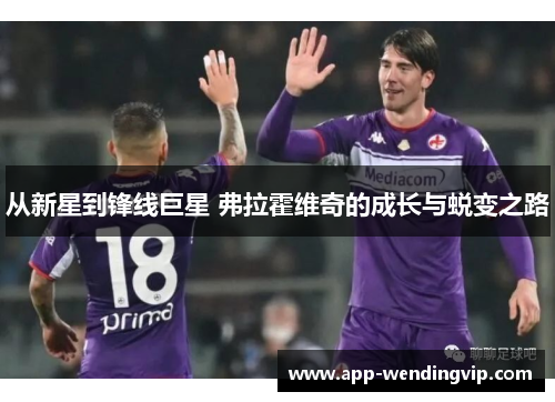 从新星到锋线巨星 弗拉霍维奇的成长与蜕变之路 从新星到锋线巨星 弗拉霍维奇的成长与蜕变之路