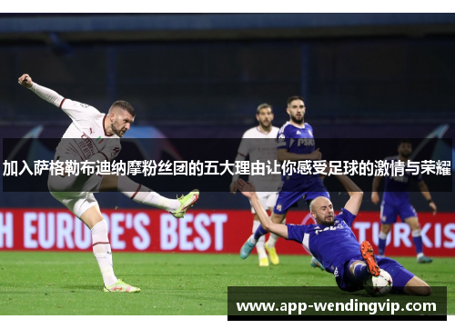 加入萨格勒布迪纳摩粉丝团的五大理由让你感受足球的激情与荣耀