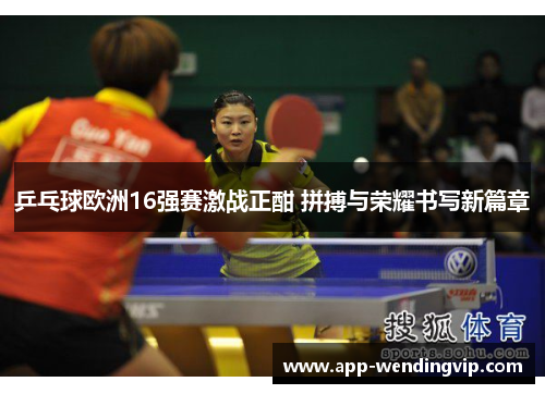 乒乓球欧洲16强赛激战正酣 拼搏与荣耀书写新篇章