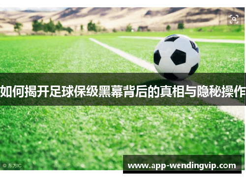 如何揭开足球保级黑幕背后的真相与隐秘操作