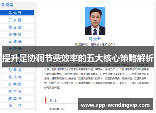 提升足协调节费效率的五大核心策略解析