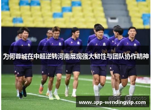 为何蓉城在中超逆转河南展现强大韧性与团队协作精神