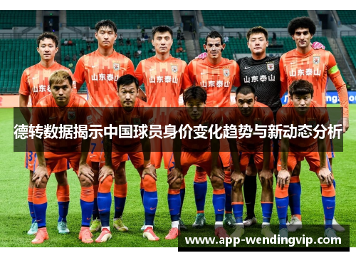 德转数据揭示中国球员身价变化趋势与新动态分析 德转数据揭示中国球员身价变化趋势与新动态分析