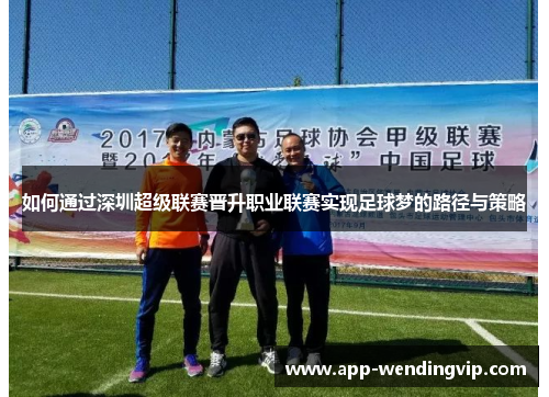 如何通过深圳超级联赛晋升职业联赛实现足球梦的路径与策略