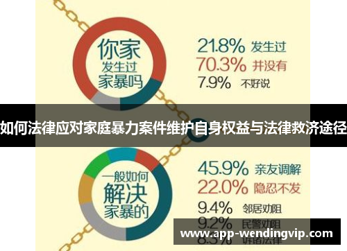 如何法律应对家庭暴力案件维护自身权益与法律救济途径