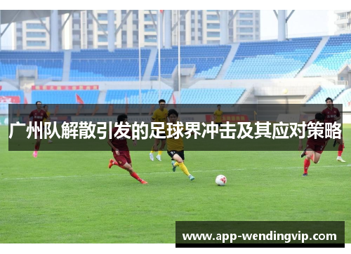 广州队解散引发的足球界冲击及其应对策略 广州队解散引发的足球界冲击及其应对策略