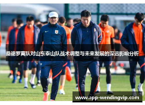 桑德罗离队对山东泰山队战术调整与未来发展的深远影响分析