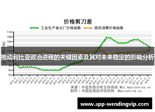 推动利比亚政治进程的关键因素及其对未来稳定的影响分析