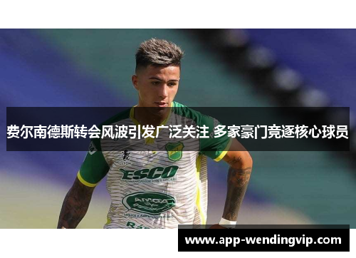 费尔南德斯转会风波引发广泛关注 多家豪门竞逐核心球员