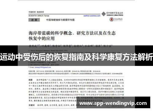 运动中受伤后的恢复指南及科学康复方法解析