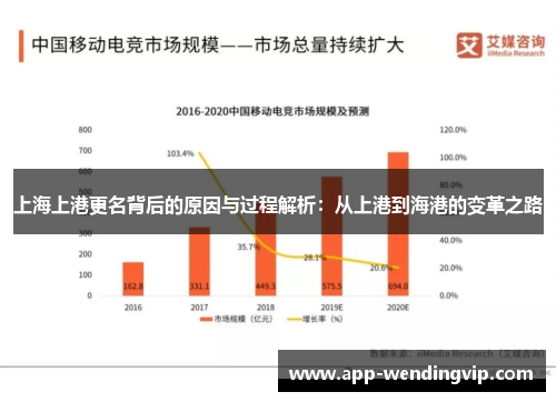 上海上港更名背后的原因与过程解析：从上港到海港的变革之路