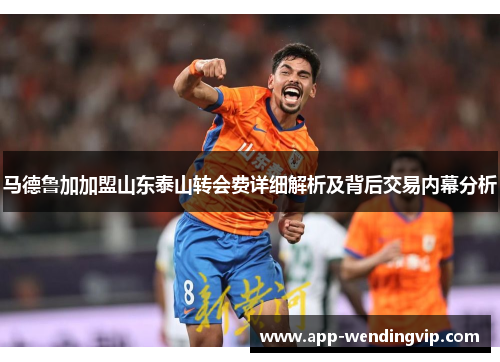马德鲁加加盟山东泰山转会费详细解析及背后交易内幕分析 马德鲁加加盟山东泰山转会费详细解析及背后交易内幕分析