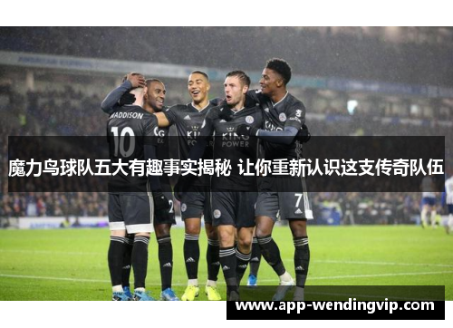 魔力鸟球队五大有趣事实揭秘 让你重新认识这支传奇队伍 魔力鸟球队五大有趣事实揭秘 让你重新认识这支传奇队伍
