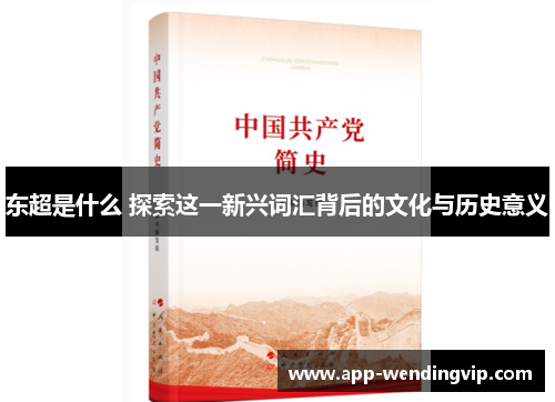 东超是什么 探索这一新兴词汇背后的文化与历史意义