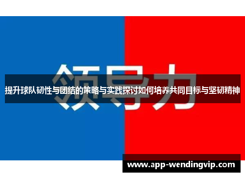 提升球队韧性与团结的策略与实践探讨如何培养共同目标与坚韧精神