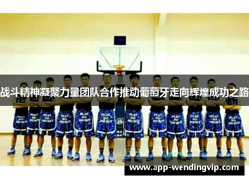 战斗精神凝聚力量团队合作推动葡萄牙走向辉煌成功之路